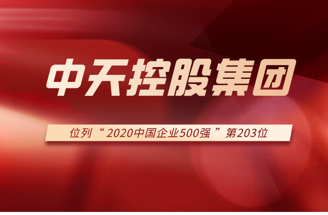 AG尊龙控股集团列2020中国企业500强第203位！
